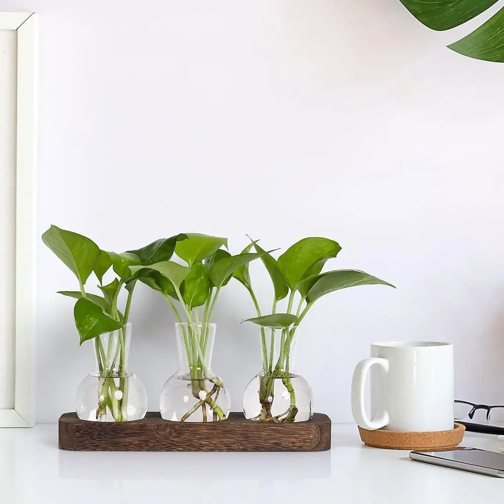 Plant Terrarium Propagation Station, Glass Planter Bulb Vase With Wooden Tray, Modern Bud Vases for Living Room Office Decor