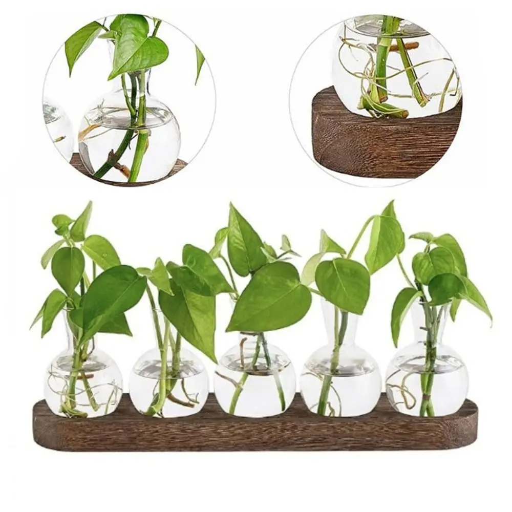 Plant Terrarium Propagation Station, Glass Planter Bulb Vase With Wooden Tray, Modern Bud Vases for Living Room Office Decor