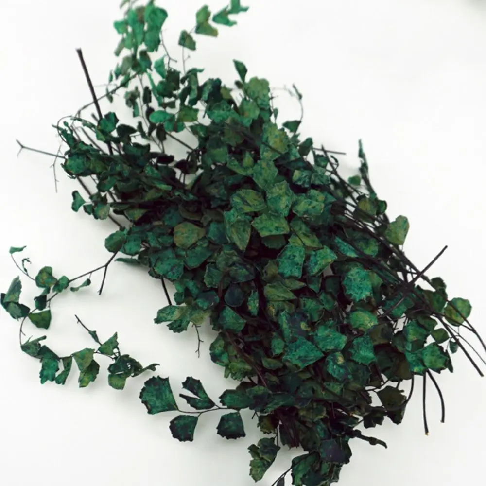 Scenery Accessories Sand Table Vegetation Scene Model Miniature Plant Creepers Simulation Rattan Leaves Micro Landscape