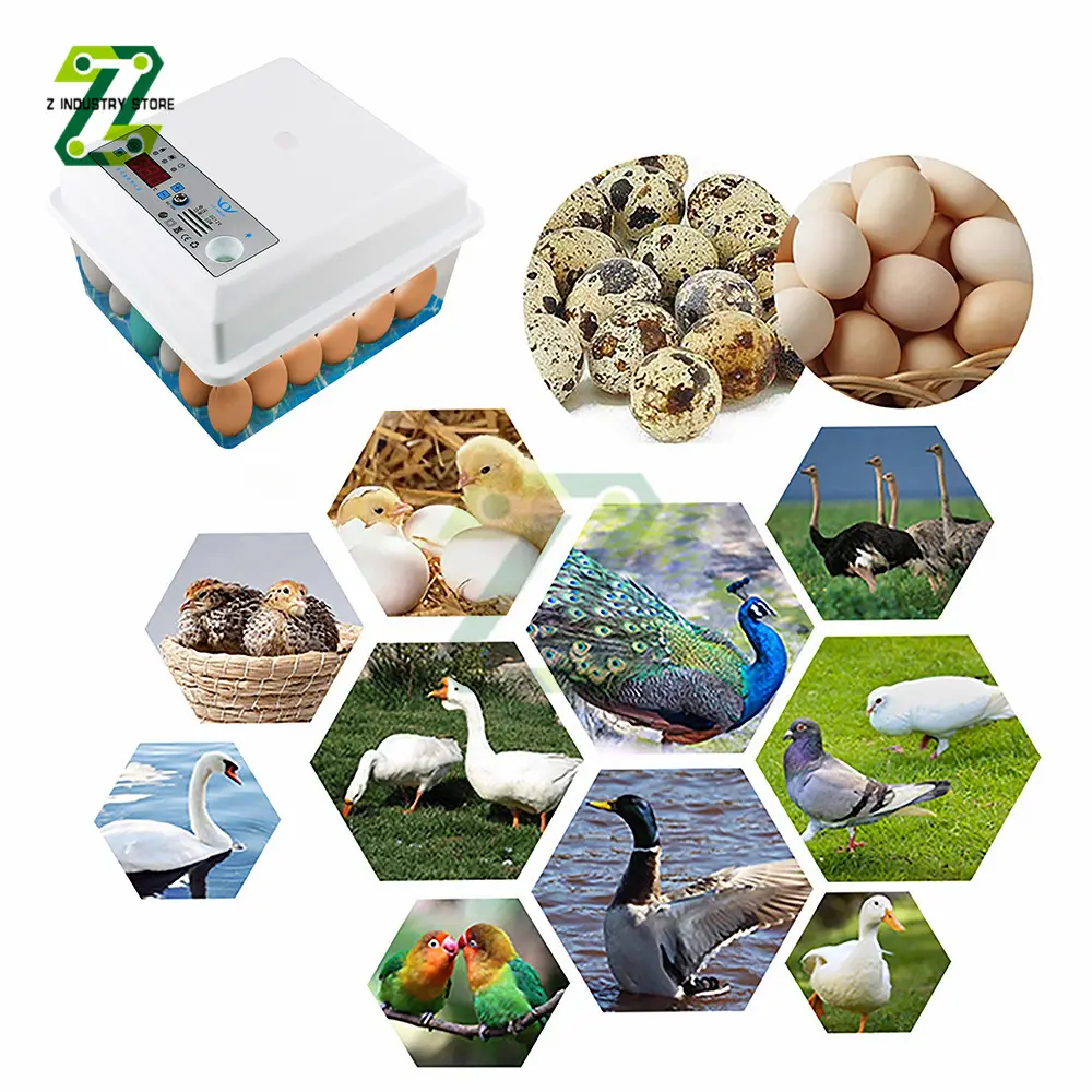 Eggs Incubator Brooder Bird Quail Incubator Chick Incubator Poultry Hatcher Automatic Farm Incubation Tools
