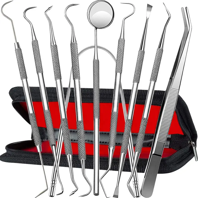 10pcs Stainless Steel Dental Examination Tool Teeth Wax Carving Kit Dentistry Instrument Materials For Fresh Breath & Teeth Care