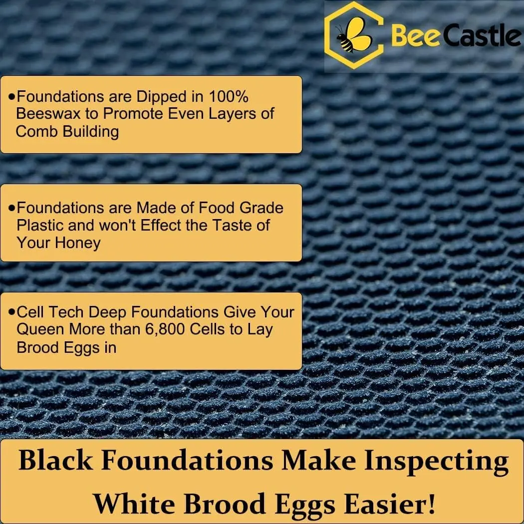 10 Frame Langstroth Hive Coated with 100% Beeswax Includes Beehive Frames and Waxed Foundations (2 Deep Boxes & 2 Medium Boxes)