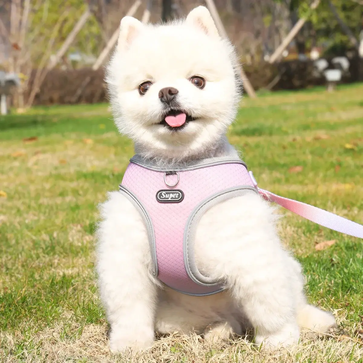 1Pcs Pet Step-in Dog Harness Adjustable Reflective Soft Dog Harness Breathable Dog Vest Harness for Small Medium Dog Cats Puppy