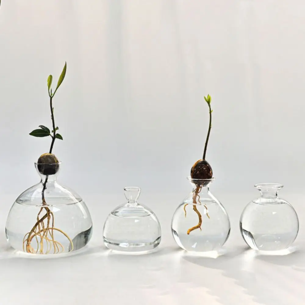 Heat Resistant Japanese Hydroponic Vase Transparent High-grade Glass Vase Container Easy to Carry Special Vase Pot Holidays Gift