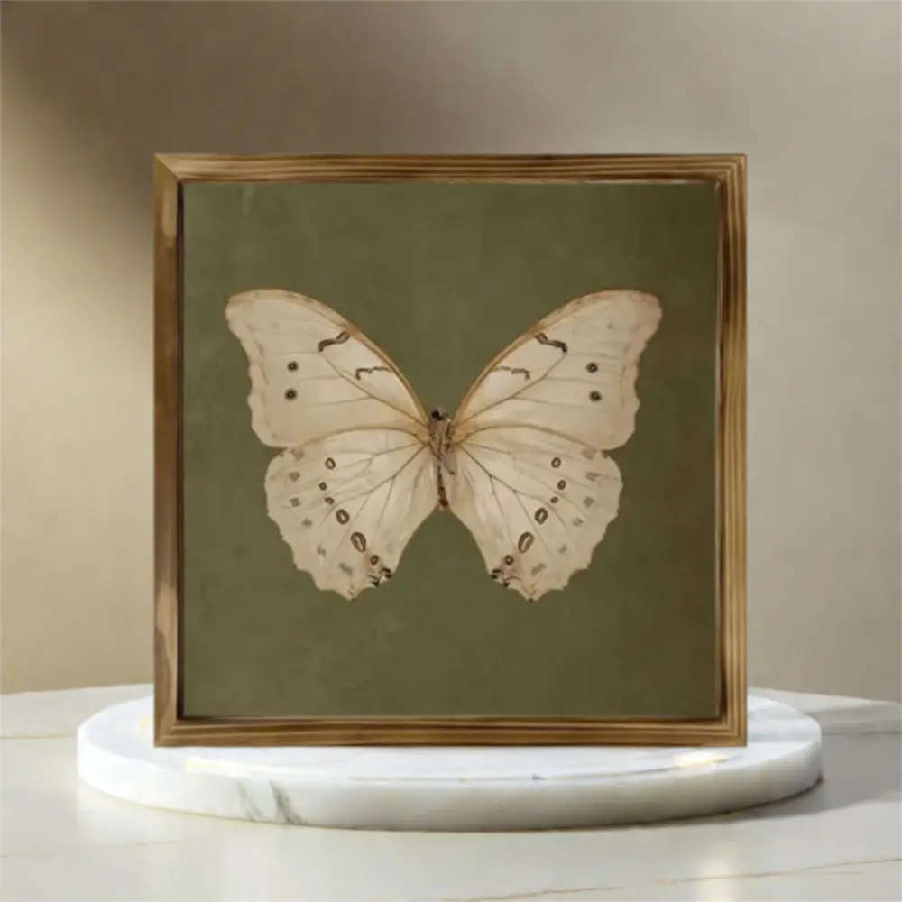 Vintage Butterfly Specimen Photo Frame Personalized Creative Wooden Decorative Painting Modern Simple Picture Frame Posters