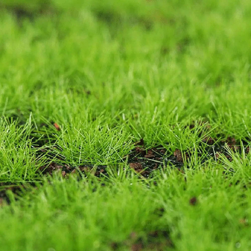DIY Fake Moss Grass Turf Eternal Life Lifelike Simulation Moss Sheet Green No Watering Fake Green Grass Mat Home Decoraion
