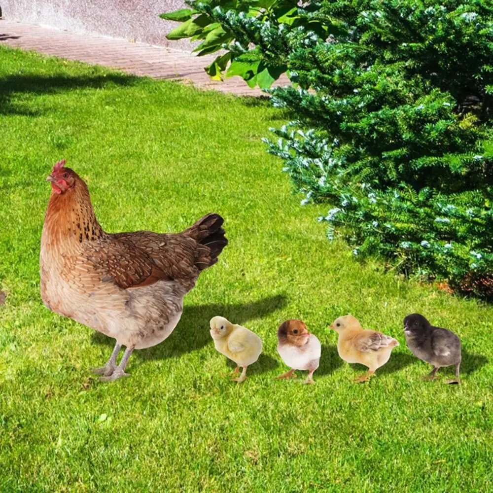 Interesting Acrylic Hen Statue Stereoscopic Insert Signs Chicken Cards Double-sided Chicken Statue Parks