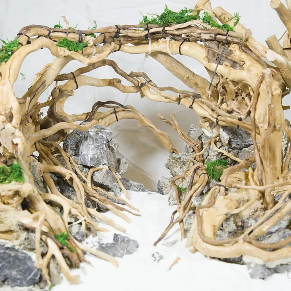 1 Pcs Artwork Decor Reptile Aquarium Decoration Tank Background Landscaping Natural Trunk Plant Stump Cuckoo Root Driftwood