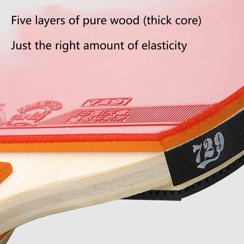 729 Friendship GS Training Table Tennis Rubber 2.1MM Ping Pong Loop