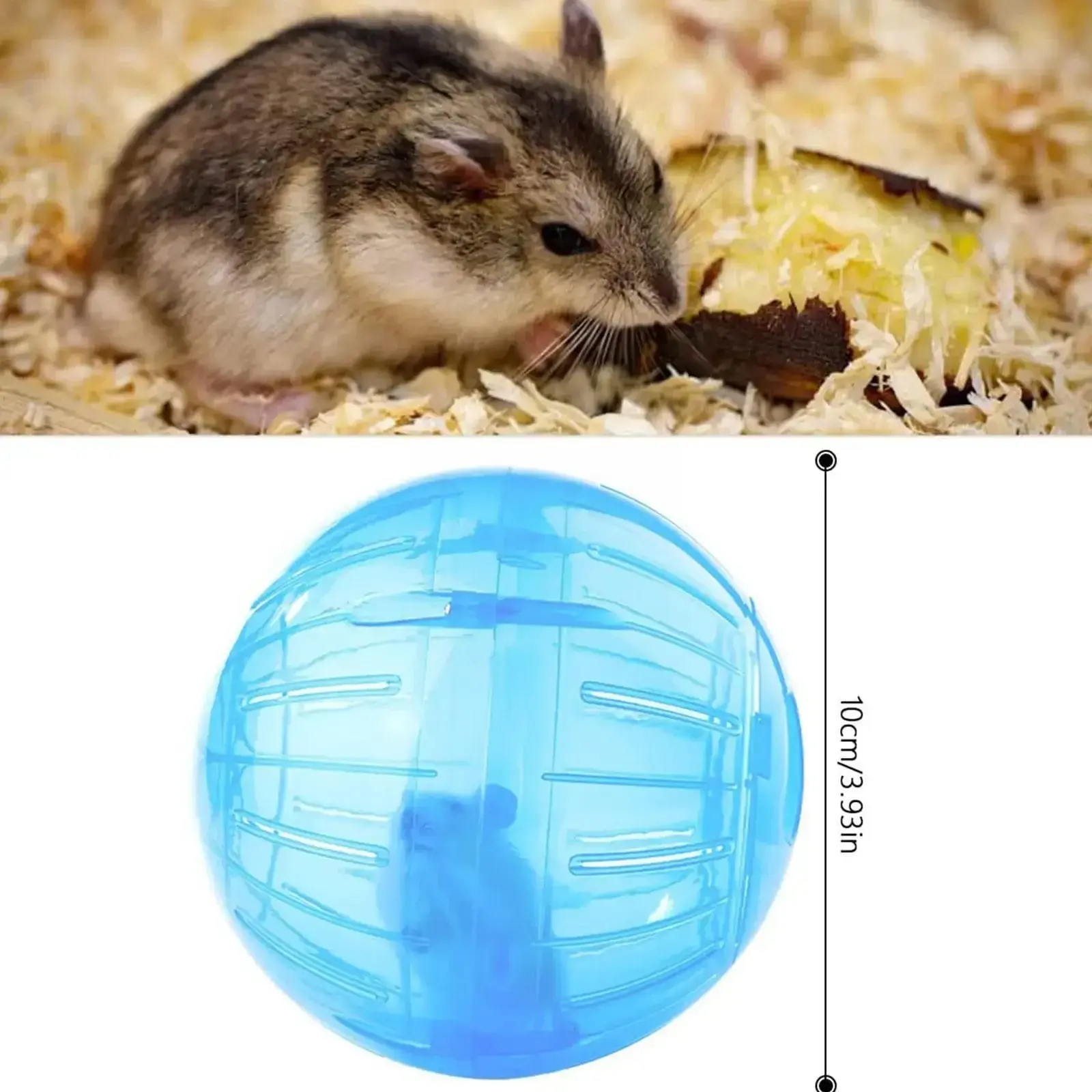 Outdoor Sport Ball Grounder Rat Small Pet Rodent Mice Ball Balls Rat 10cm Exercise Hamster Gerbil Play Toys Jogging Toys