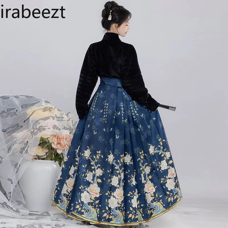 Plus Size Ming Dynasty Hanfu Skirt Set for Women Traditional Chinese Embroidered Horse Face Dress Spring Autumn Winter Outfit