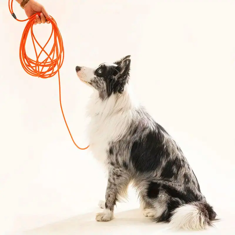 Dog Leash Long PVC Leashes Durable Training Recall Long Lead 1.5M 3M 6M 9M Great for Training Beach Yard Play