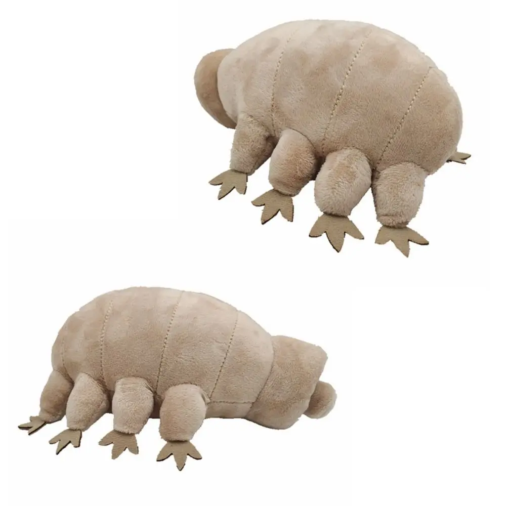 324