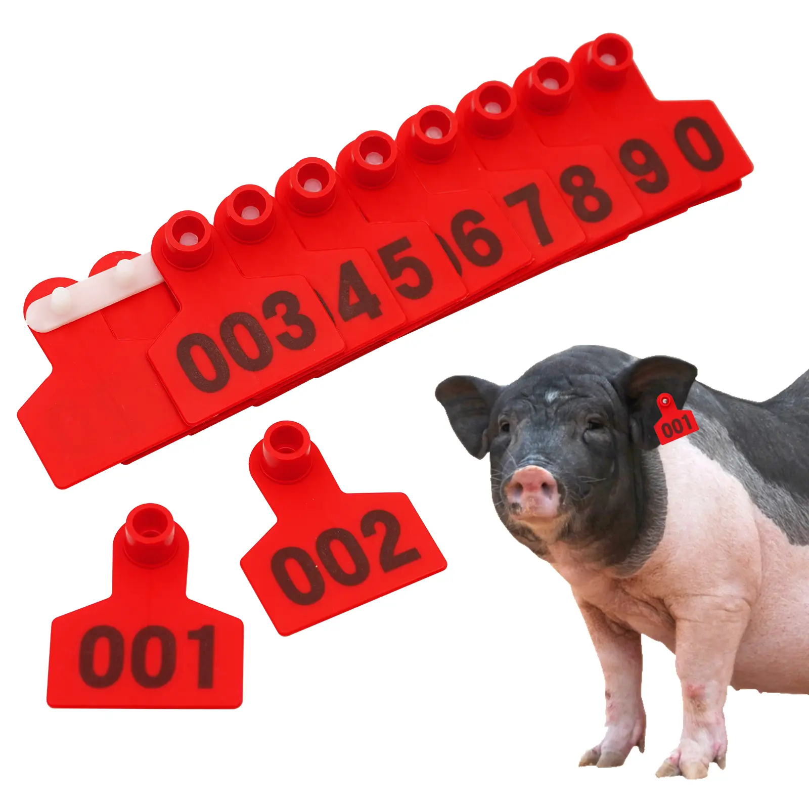 324