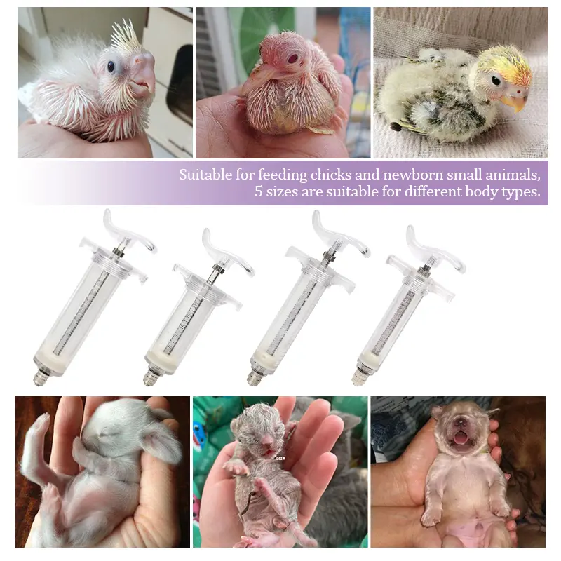 10/20/30/50ml Bird Feeder Parrot Feeding Syringe Hose Parrot Feeder Syringe Small Bird Feeding tools