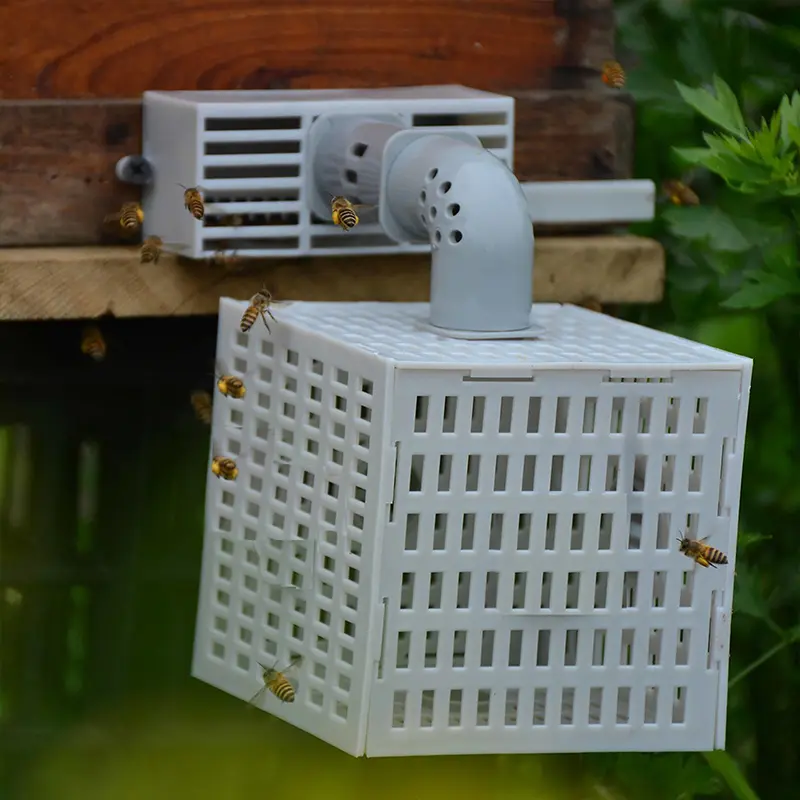 Bee Hive Tool Automatic Bee Divider Prevent Escaping Bees Remove Male Bee  Beekeeper Tools Beehive Accessories 1Pc