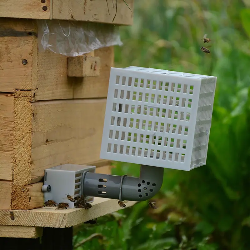 Bee Hive Tool Automatic Bee Divider Prevent Escaping Bees Remove Male Bee  Beekeeper Tools Beehive Accessories 1Pc