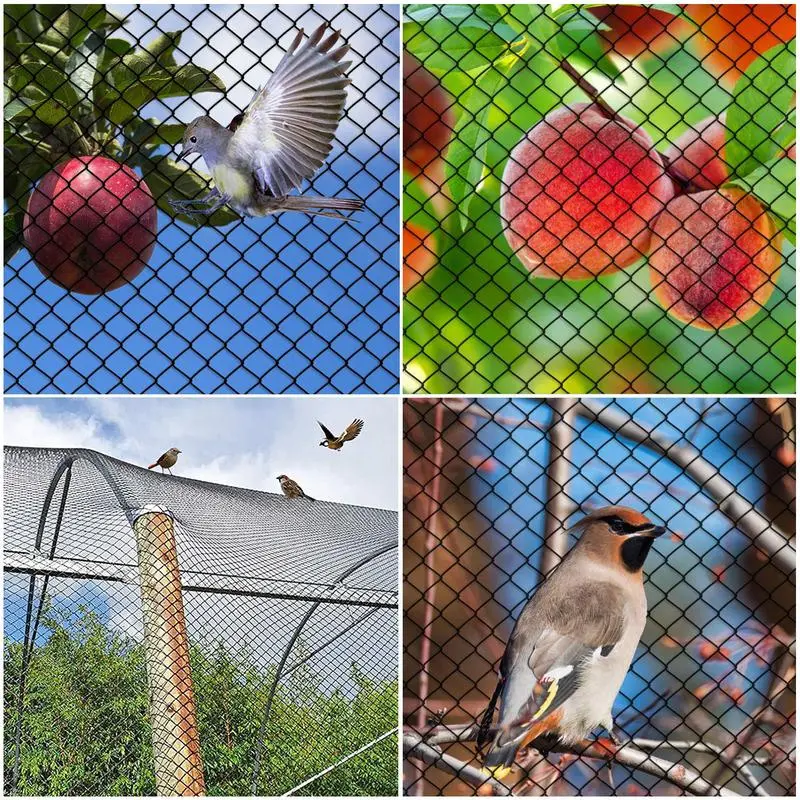 Bird Netting for Fruit Trees Reusable Mesh Plant Cover Garden Netting Barrier Lightweight Plants Cover Protection Plant Mesh