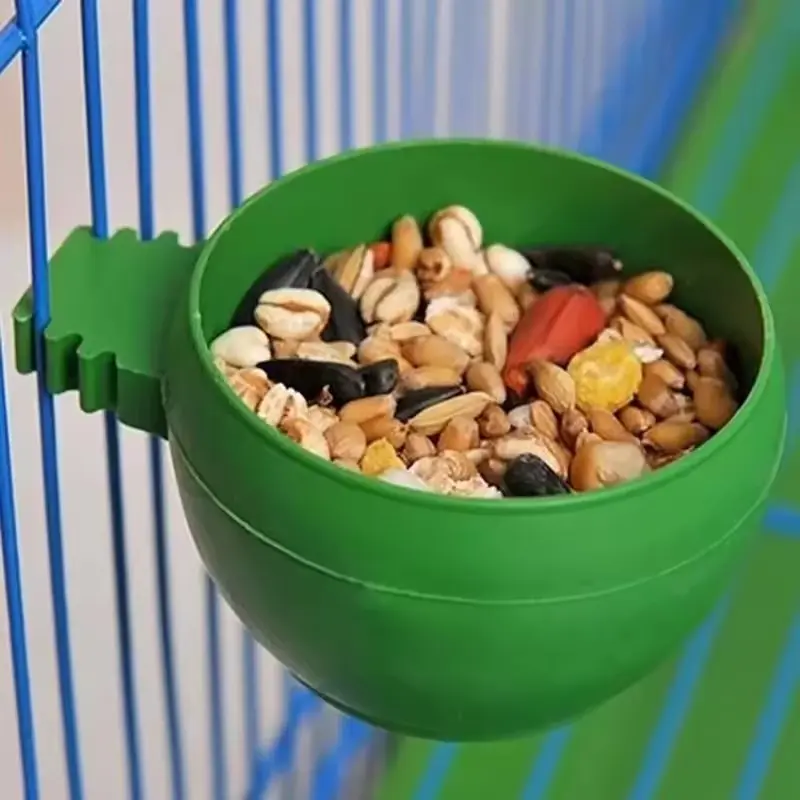 5 Pcs Bird drinking cup Parrot Feeder Aviculture equipment Color feeding trough Cages Birdcage Hanging Quail Feeder Bowl