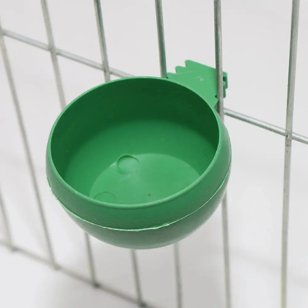 5 Pcs Bird drinking cup Parrot Feeder Aviculture equipment Color feeding trough Cages Birdcage Hanging Quail Feeder Bowl