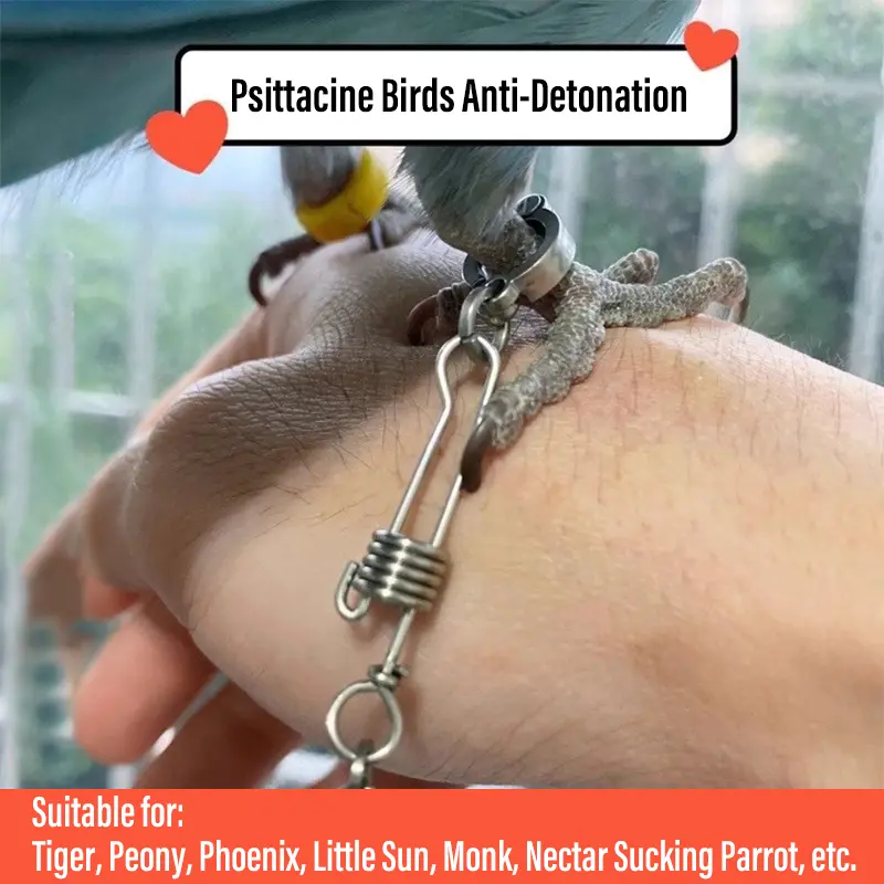 Bird Parrot Foot Chain Stainless Steel Safe Flying Training Bird Anklet Rings  Away Accessories  Flee-proof Rings Outdoor