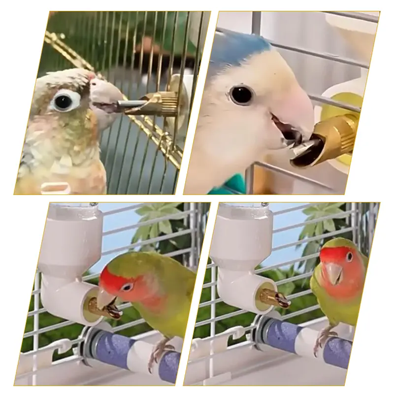 Parrot Drinking Kettle Large Automatic Water Feeder Pet Chinchilla Rabbit Water Cup Outdoor Cage Chickens Bird Drinker