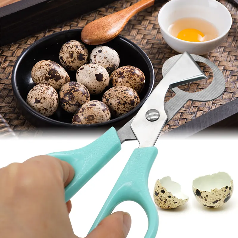 Quail Bird Egg Scissors Stainless Steel Egg Shell Cutters Egg Opener Pigeon Quail Egg scissor Bird Cutter Opener Kitchen Tools
