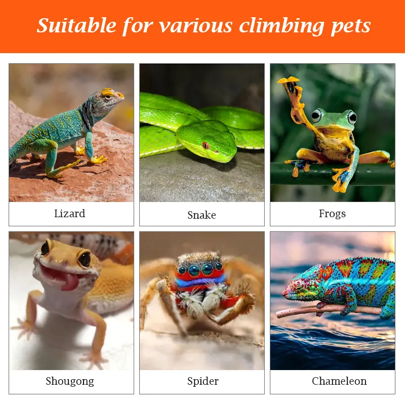 Reptile Hammock Swing Perch Durable Plastic Climbing Hanging Bed for Lizards Geckos Frogs Snakes Spiders Pet Bed Swing