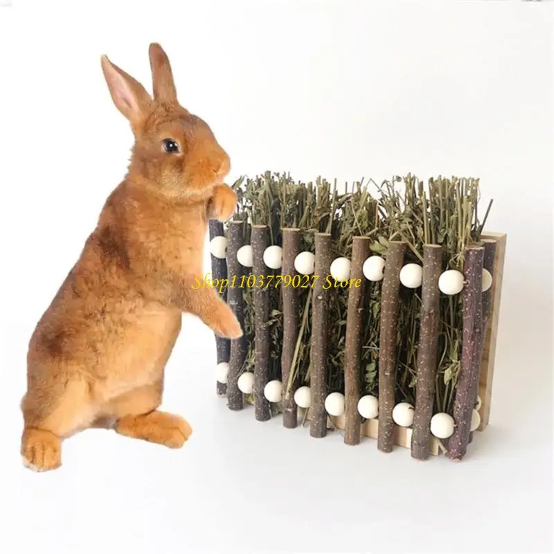 C4DF Durability Small Animal Hays Dispenser With Chewing Surfaces for Gerbils and Pet Dental Care