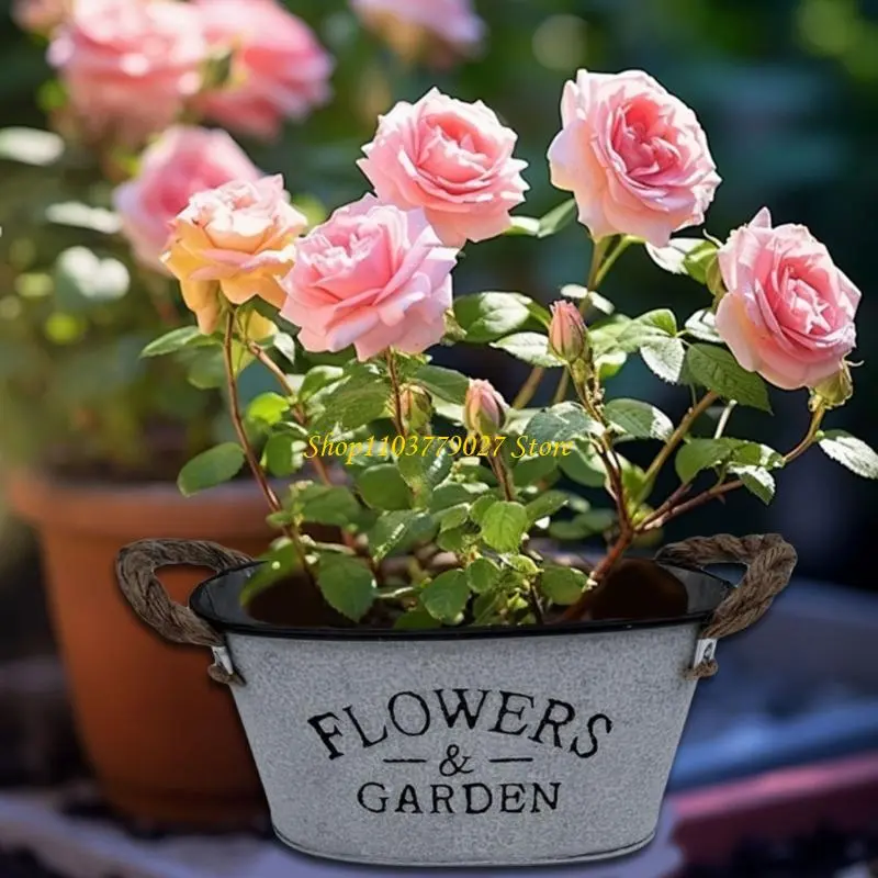 C4DF 4 Pieces Oval Metal Plant Pots with Handle Drainage Hole Planter Decorative Flower Bucket for Weddings and Parties