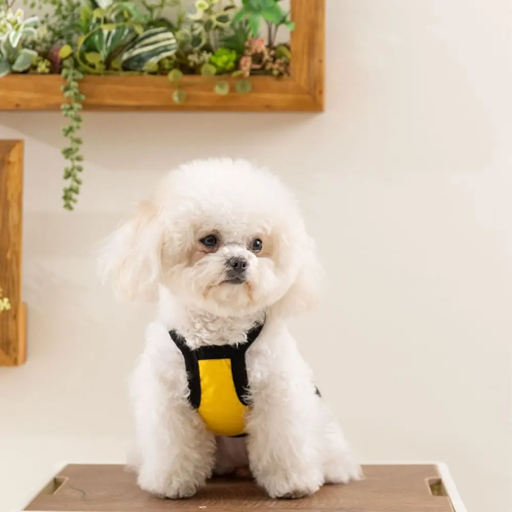 Cute Polyester Pet Puppy Sling S~XL Comfortable Bichon Casual Clothes Breathable Dog Clothes Spring/Summer