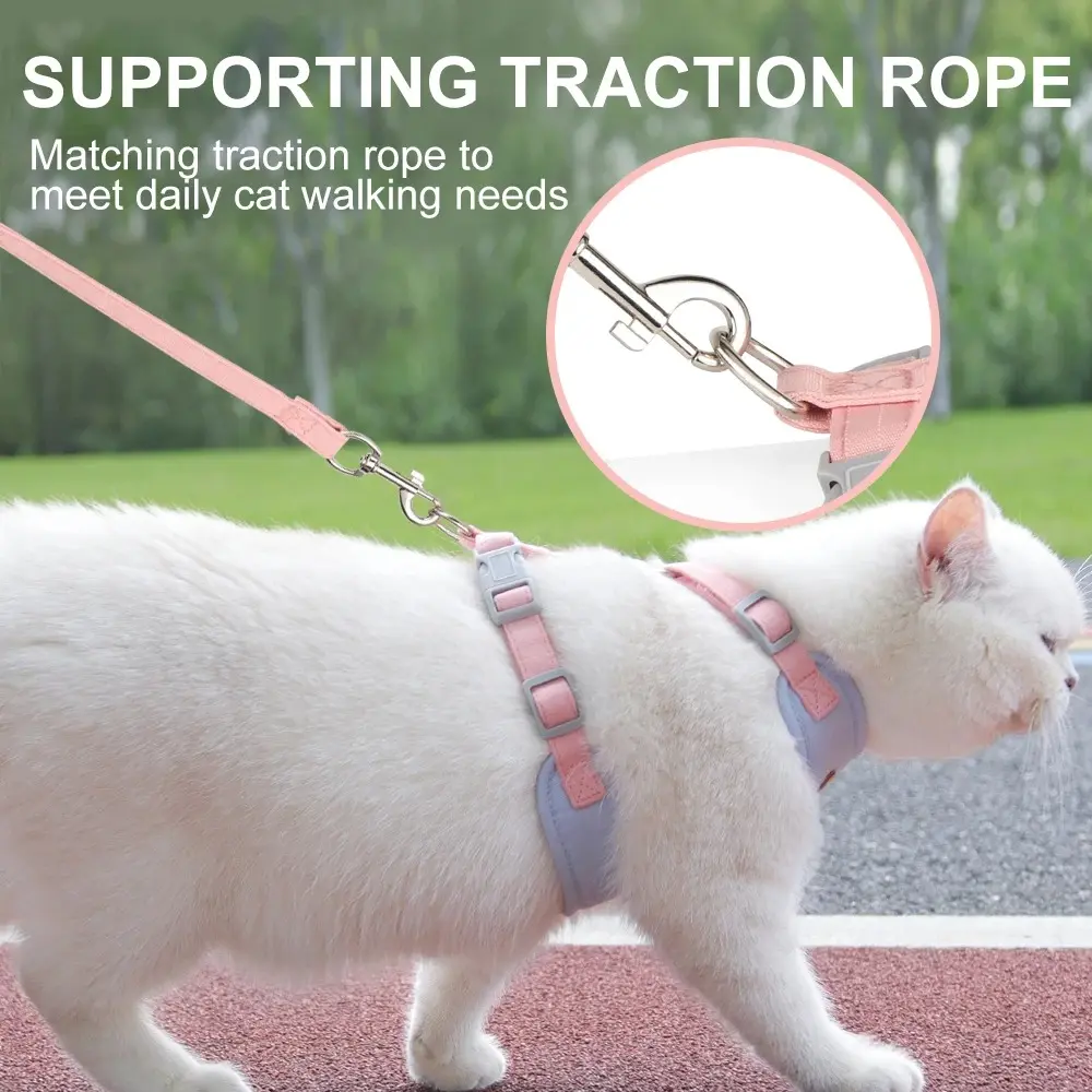 Pet Products for Cats Detachable Collar Pets Kittens Harness Accessories Goods Cute Kitten Animal Animals Stuff Dogs Tag Collars