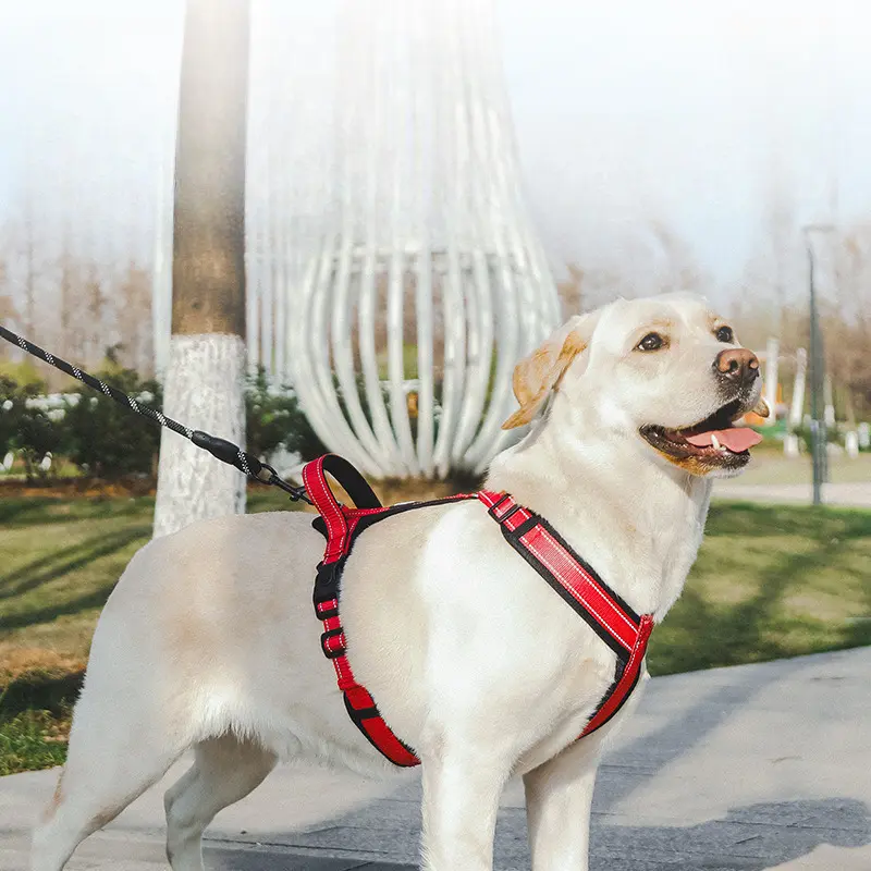 Heavy Duty Dog Harness with Front Clip Easy Control Handle for Large Dogs No Pull Walking Adjustable Pet Vest