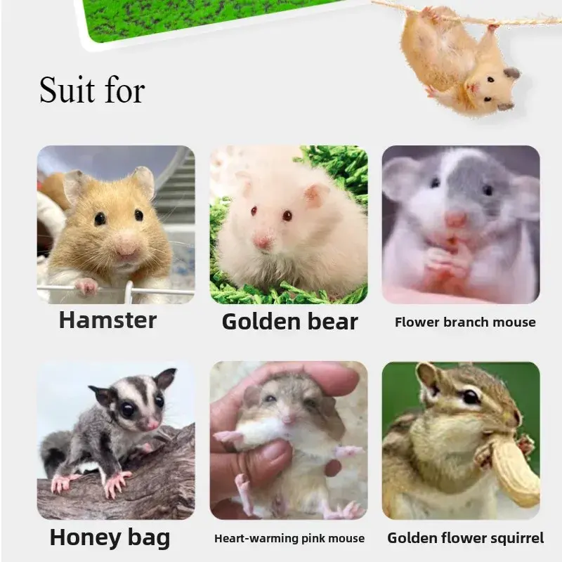 Harmless Hamster Villa Cage Accessories Dwarf Hamsters House Stable Pet Toy Chinchilla Gerbils Hamster Hideout Hut for Home