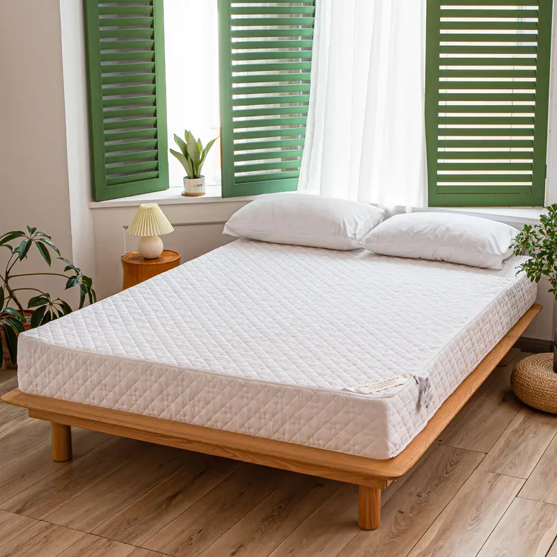Solid Color Zipper Quilted Mattress Cover King Queen Twin Size Removable Six-sides All-inclusive Anti-mite Bed Protector Cover