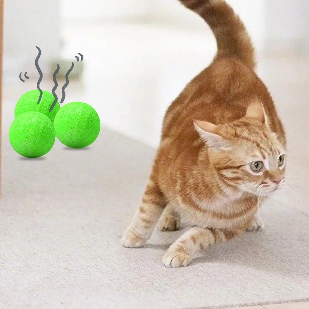 12/24PCS Cat Repellent Dog Repellent Natural Peppermint Oil Cat & Dog Nature Repellent To Keep Cats Out of Yard