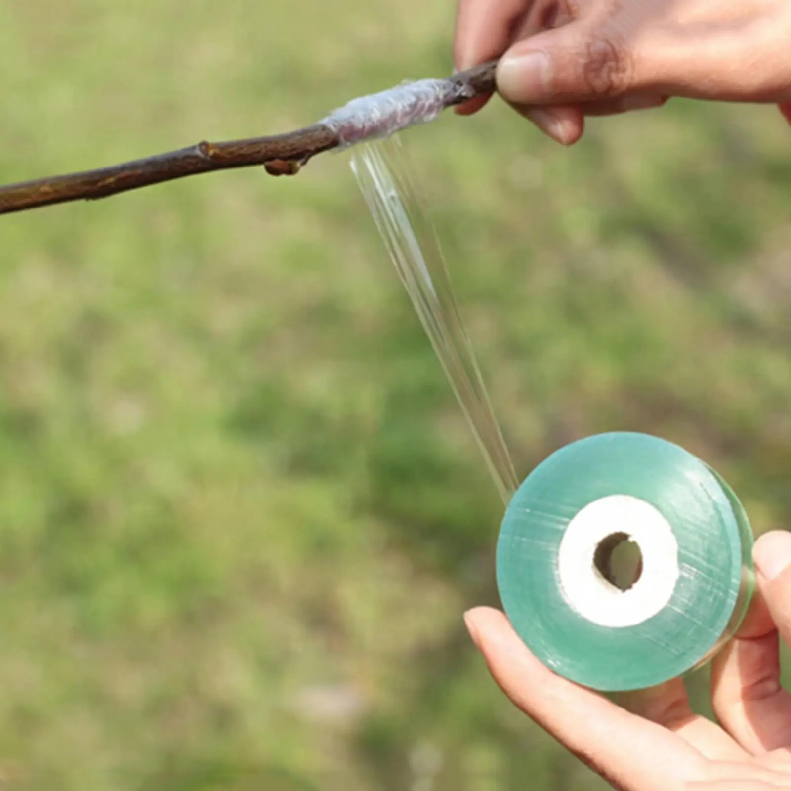 Self-adhesive PE Grafting Tape Film Stretchable Garden Tree Plants Seedlings Vine Tomato Grafting Accessories