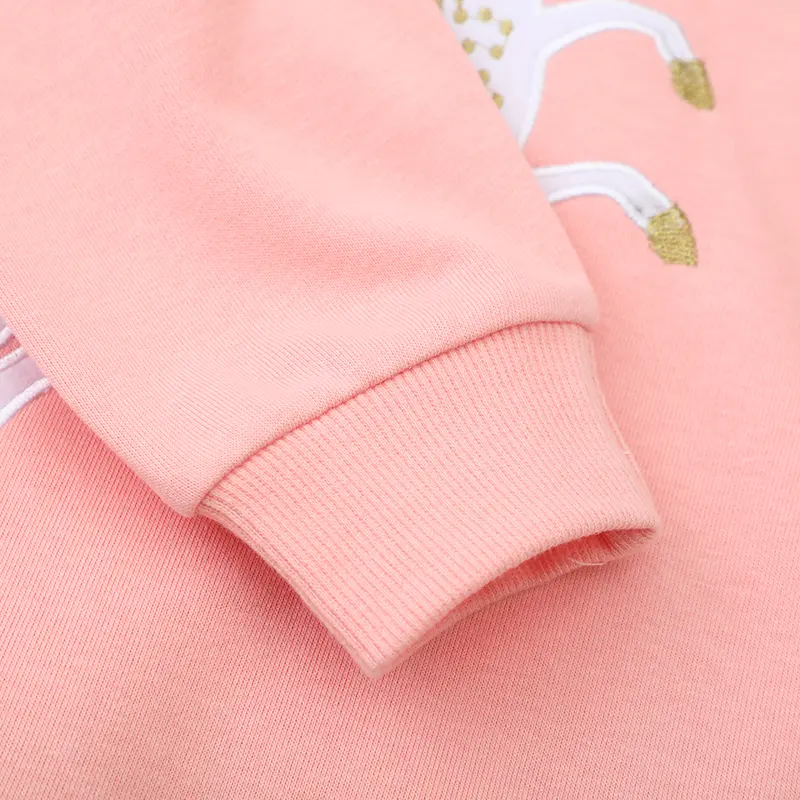 2-7t Girls' Pink Long Sleeve Sweatshirt Exquisite Pegasus Embroidery Design Adorable Toddler Kid Pullover