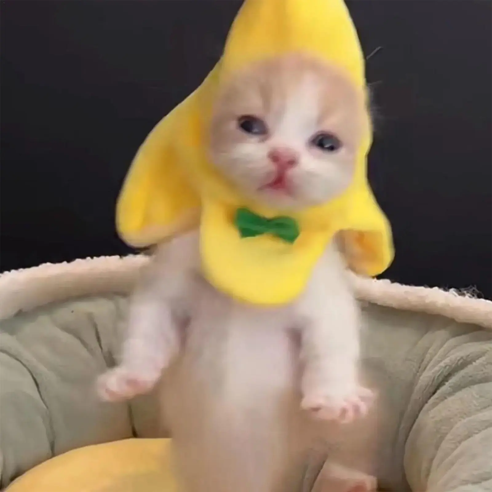 324