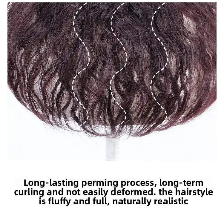 Women's Short Curl Wig Full Real Hair Corn Perm Top Piece Cover Grey Hair Fake Hair Block Mom Middle Age Elderly