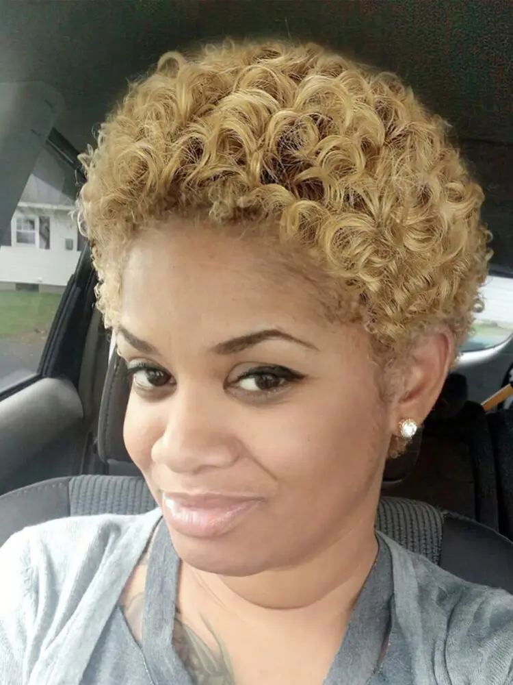 Short Synthetic Kinky Curly Wig Short Blonde Curly Hair Wigs Synthetic Wigs For Black Women Short Curly Afro Wigs For Women