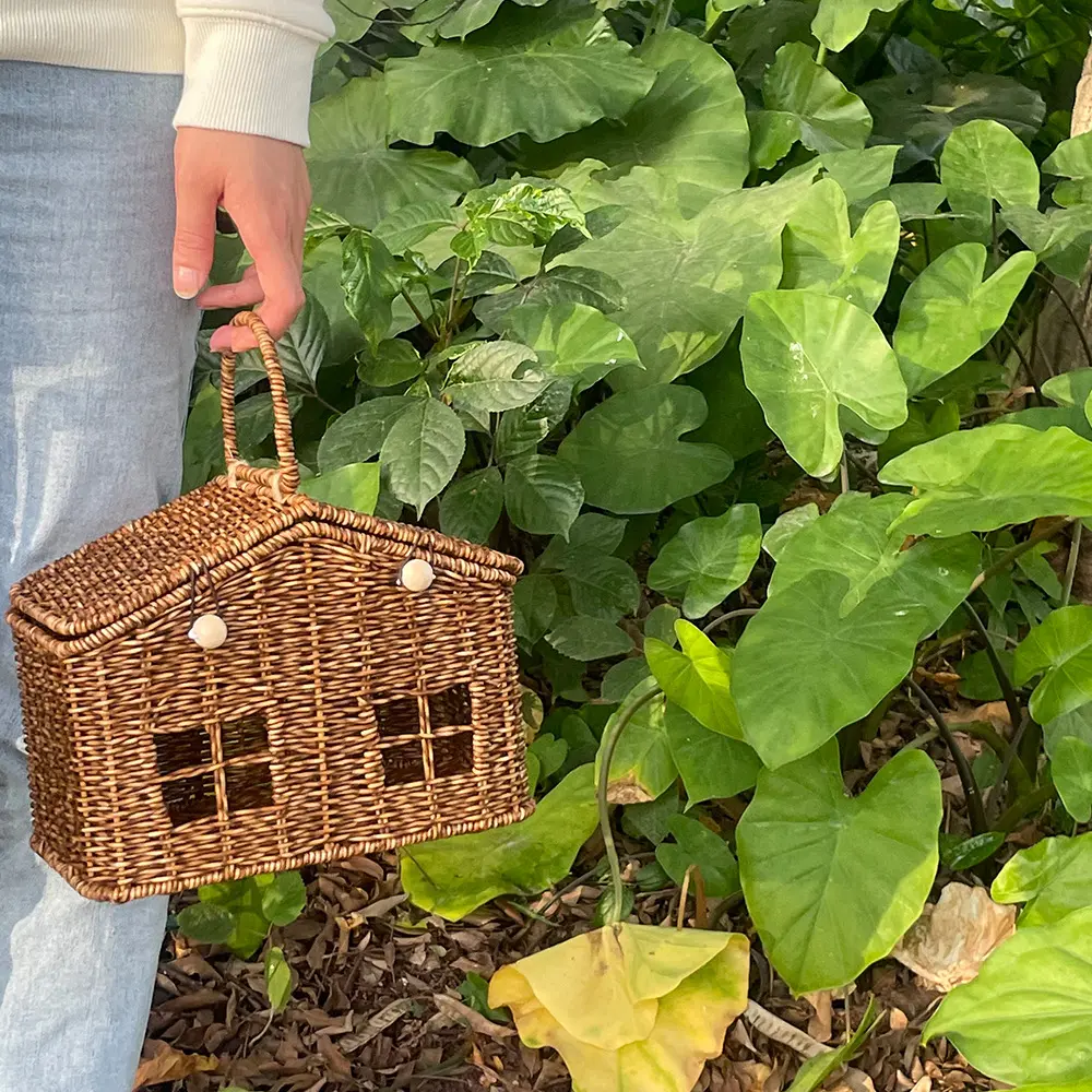 Handmade House Box Bag Faux Rattan Basket Bags for Women Designer Handbags 2025 Funny Purses for Women PP Material Beach Bag New