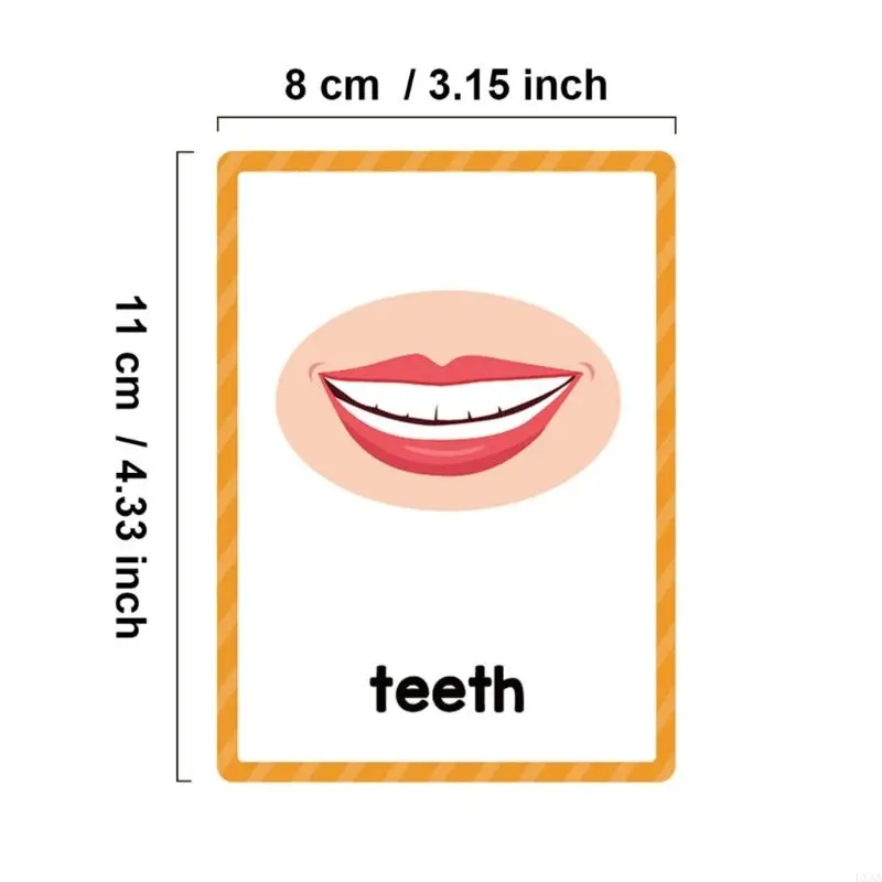 LXAA Vocabulary Building Flashcards Kids Early Learning Word Card Classroom Teaching Tool For Toddler Preschoolers Ages 3-8