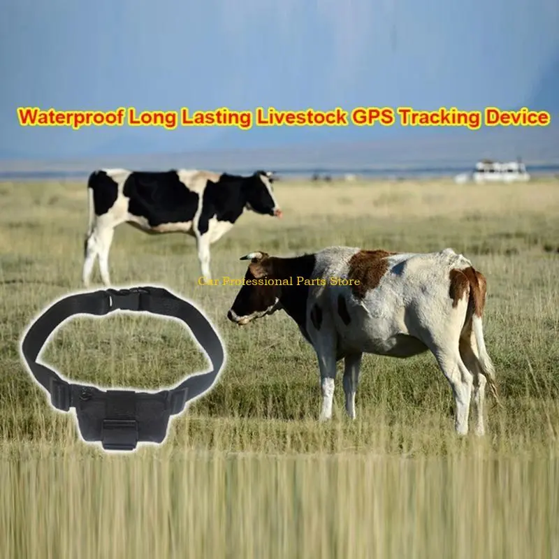 R53D Waterproof GPS Prevent Loss for Cow Cattle Horse Sheep for Camel Animals