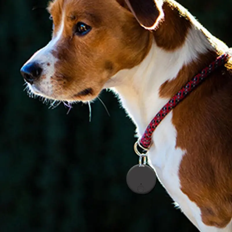 Anti Lost Tracking Device  Smart Pet Tracker Wireless Key Finder Portable Alarm Sensor Anti Lost Reminder Device For Pets Bag