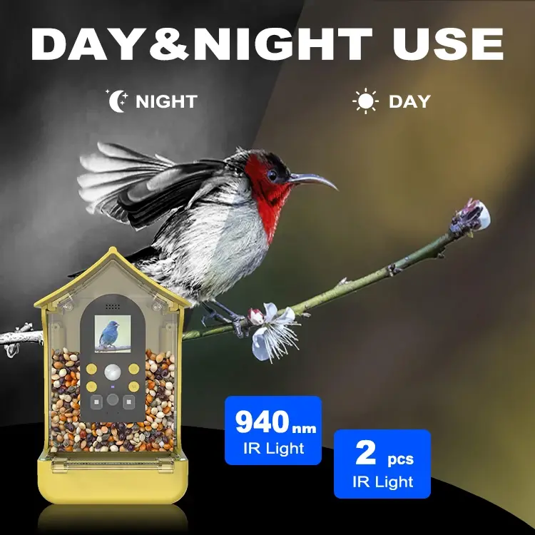 Newest Monitor Observe Birds Activity Eating Waterproof Designed Outdoor Smart Bird Feeder Camera with Camera