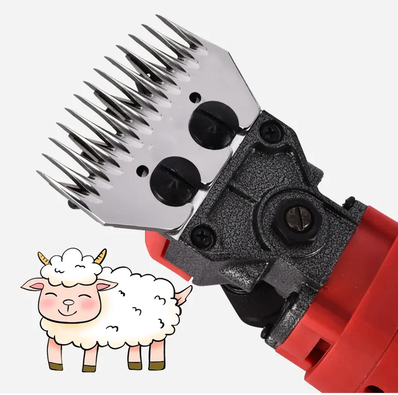 324