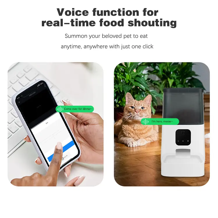 Smart Feeding  Auto Smart Feeder Bowl Food Container Automatic Cat Automatic Pet Feeder Dispenser