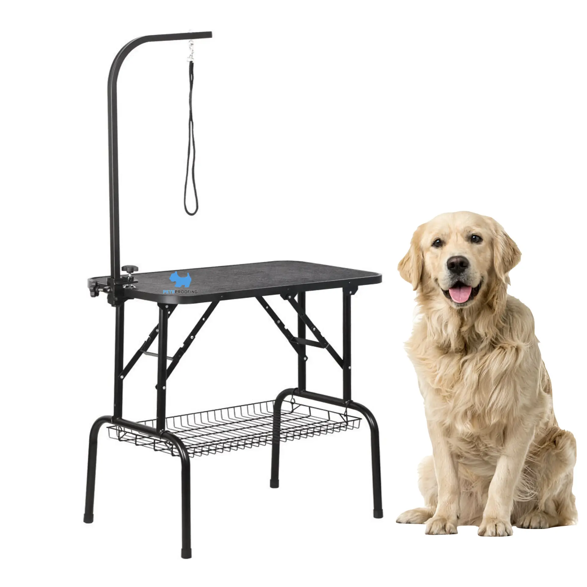 Cheap Stainless Steel Iorn Coated Grooming Table Professional Beauty Equipment Cat Grooming Platform Dog Pet Grooming Table
