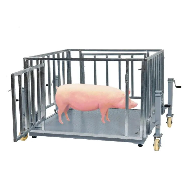Inexpensive electronic scale with cage for animal sheep  pig livestock scales with wheels that can be moved are customized